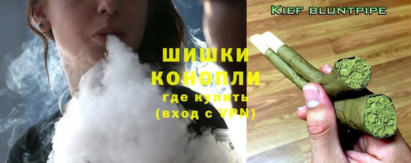 винт Белокуриха