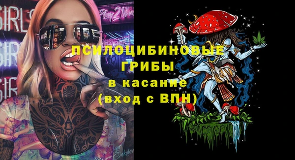 2c-b Беломорск