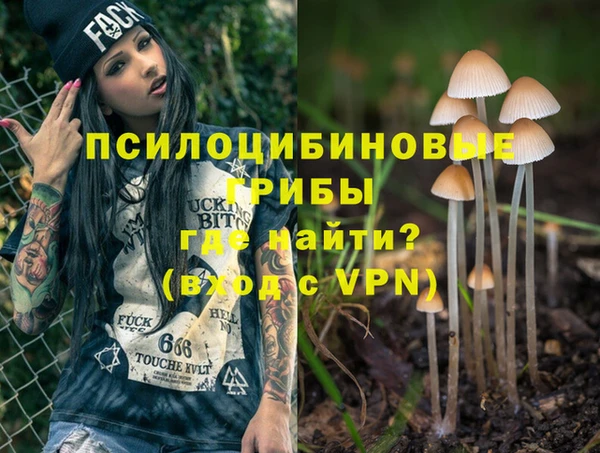 2c-b Беломорск